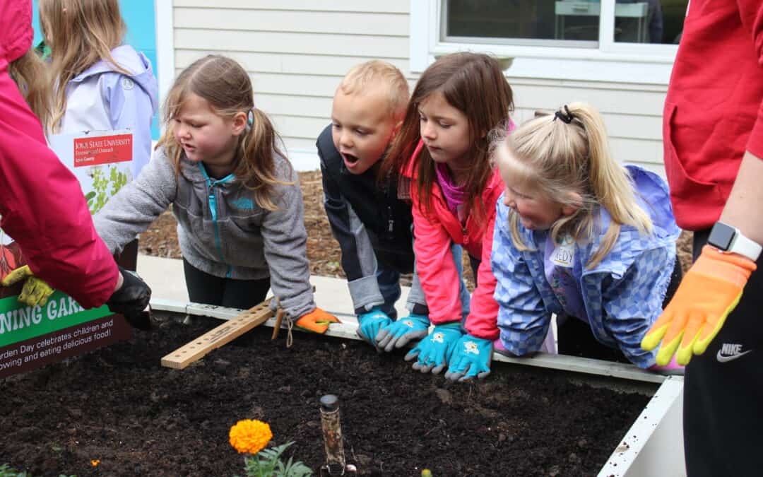 Planting seeds of fun