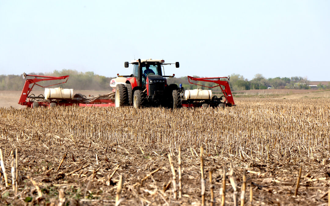 Sowing the Seeds