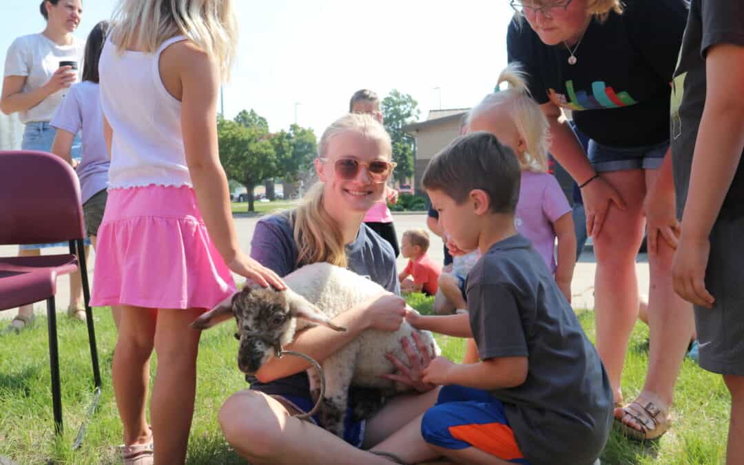 Little lambs at the library
