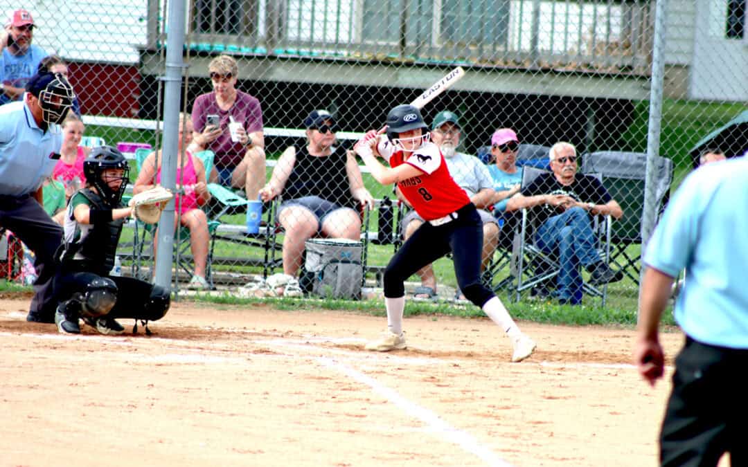 Hawks fly past Mustangs