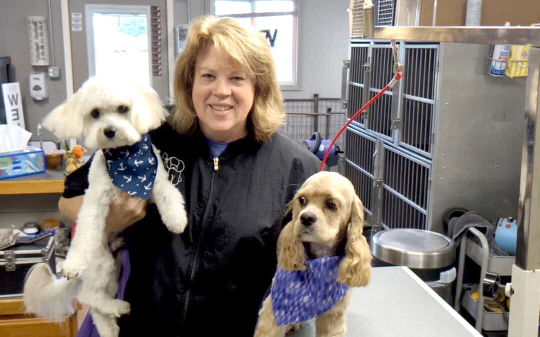 A day in the life of a dog groomer
