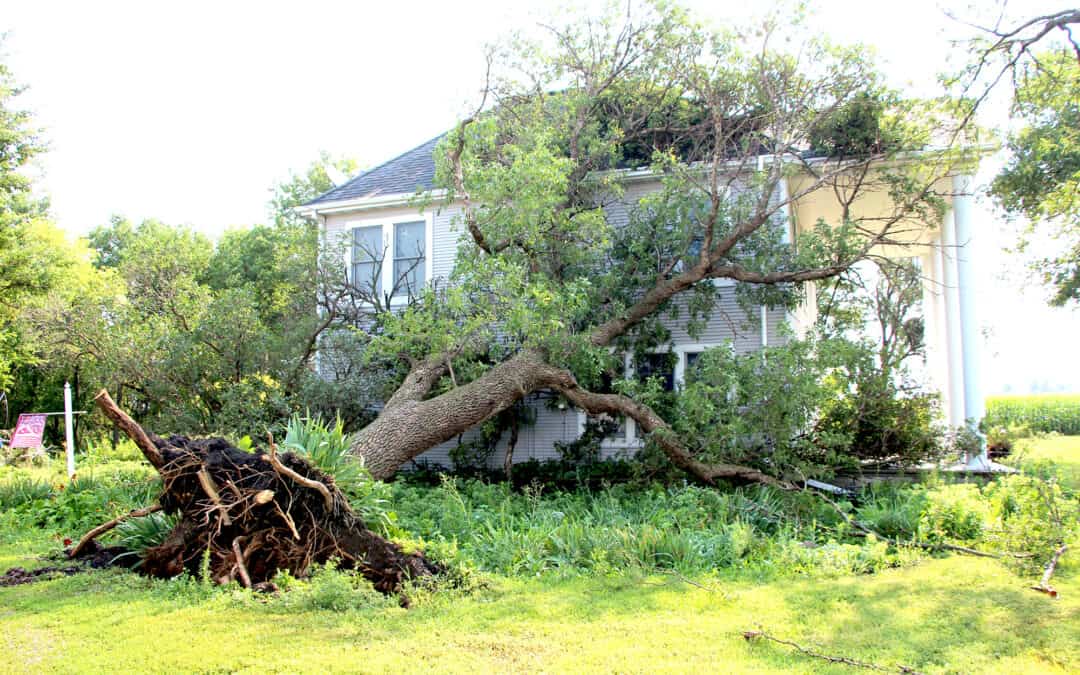 Tornado rips through Lyon County